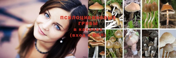 гашишное масло Дмитриев