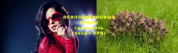 синтетический гашиш Елабуга