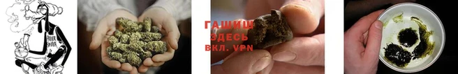 PSILOCYBIN Елизово