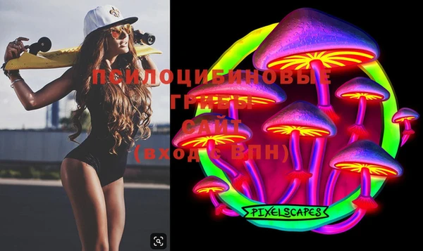 PSILOCYBIN Елизово
