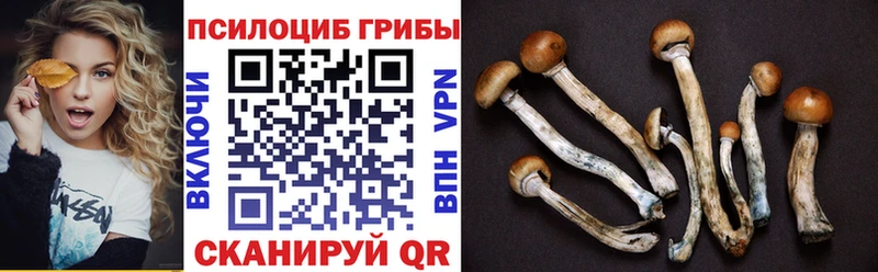 Галлюциногенные грибы мухоморы  маркетплейс клад  Орск 